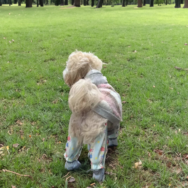 Pet Stroller, Dustproof Pants, Summer Jumpsuit, Leg - Protective Shoes/Trousers, Small Pet Wear