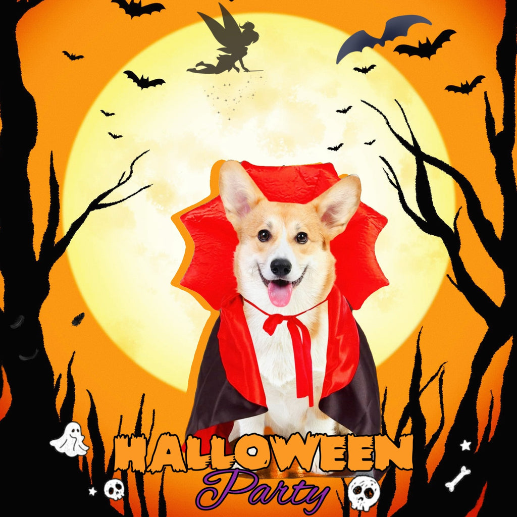 Halloween pet cat dog funny bat costume cloak
