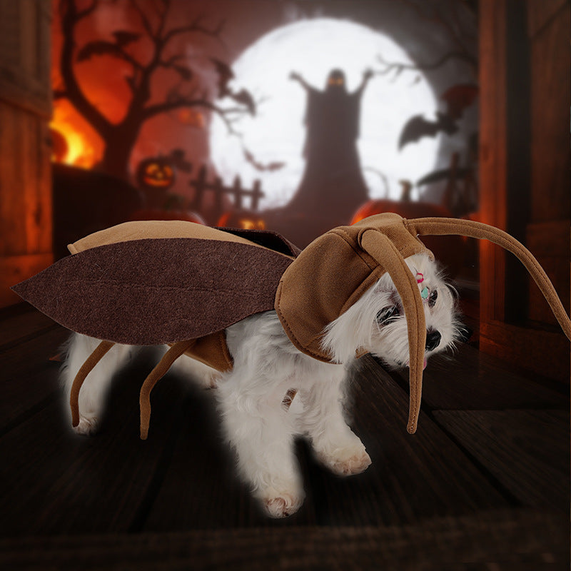 Pet transformation costume Halloween outing funny dog cockroach costume cat